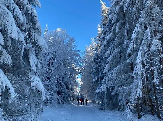 Im Haus Zur Auszeit Willkommen *
